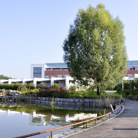 Seminarhotel In Der Manfred-Sauer-Stiftung Lobbach Exteriér fotografie